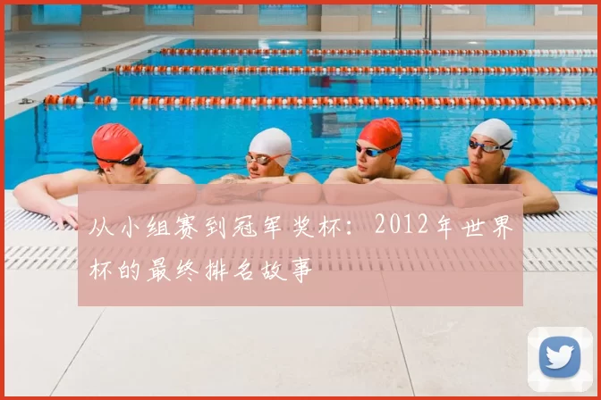 从小组赛到冠军奖杯：2012年世界杯的最终排名故事