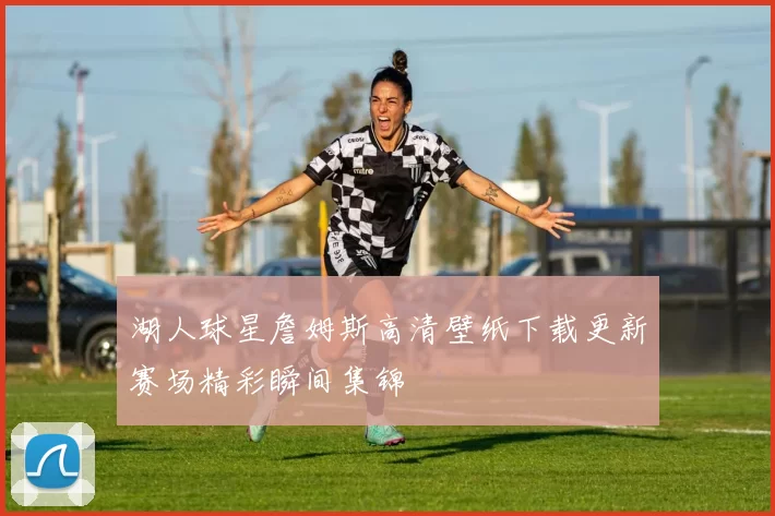 湖人球星詹姆斯高清壁纸下载更新赛场精彩瞬间集锦