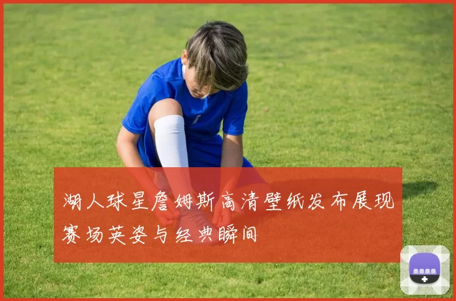 湖人球星詹姆斯高清壁纸发布展现赛场英姿与经典瞬间