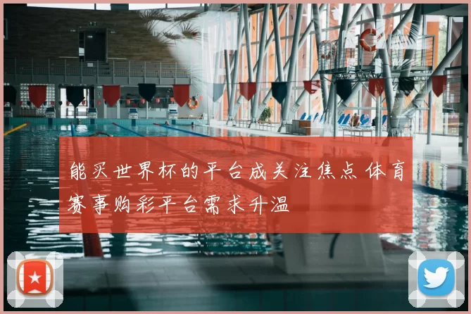 能买世界杯的平台成关注焦点 体育赛事购彩平台需求升温