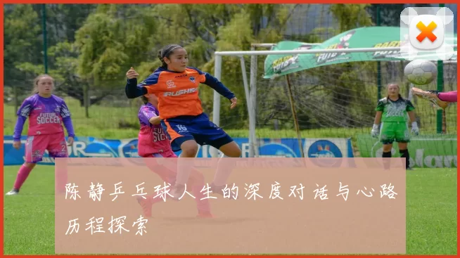 陈静乒乓球人生的深度对话与心路历程探索
