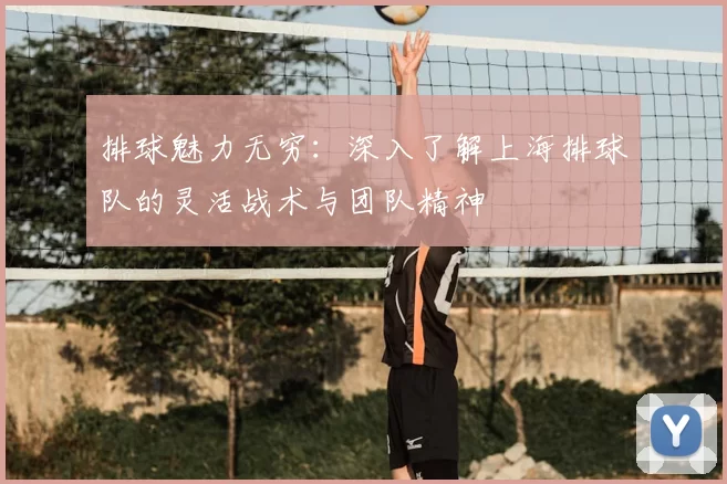 排球魅力无穷:深入了解上海排球队的灵活战术与团队精神