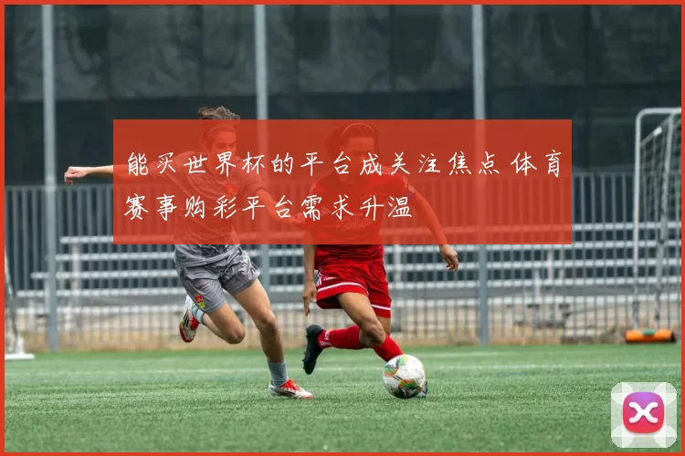 能买世界杯的平台成关注焦点 体育赛事购彩平台需求升温