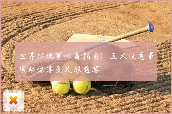 世界杯观赛必备指南：五大注意事项助你享受足球盛宴