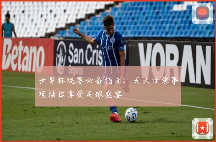 世界杯观赛必备指南：五大注意事项助你享受足球盛宴