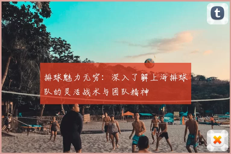 排球魅力无穷:深入了解上海排球队的灵活战术与团队精神