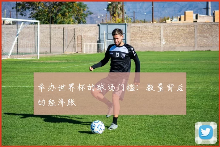 举办世界杯的球场门槛:数量背后的经济账